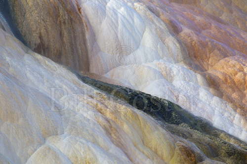 Mammoth Springs Abstract