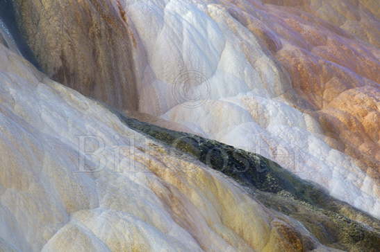 Mammoth Springs Abstract