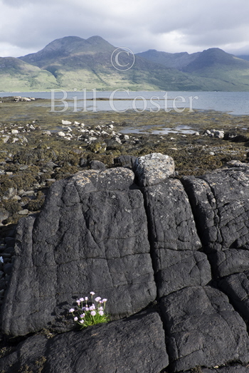 Loch na Keal, Mull