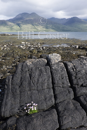 Loch na keal Mull