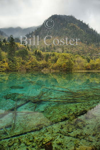 Mulicoloured Lake Lake - Jiuzhaigou NP