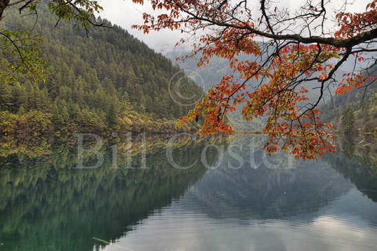 Mirror Lake - Jiuzhaigou NP