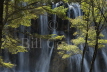 Nuorilang Waterfall - Jiuzhaigou NP