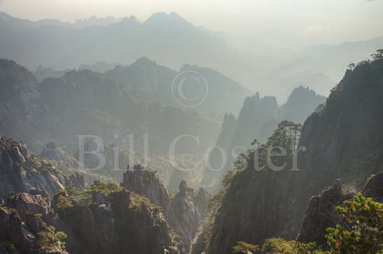Yellow Mountains Morning