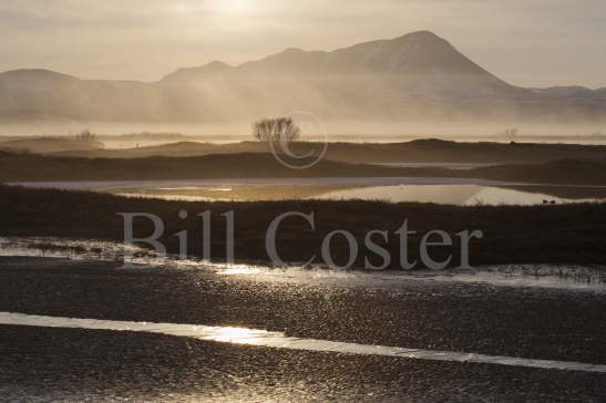 Lake Myvatn Dawn