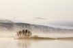 Lake Myvatn Dawn