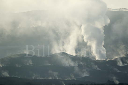 Steam vents at Hverond