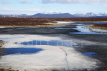 Lake Myvatn 