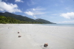 Daintree Beach