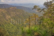 Lamington National Park