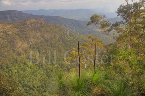 Lamington National Park